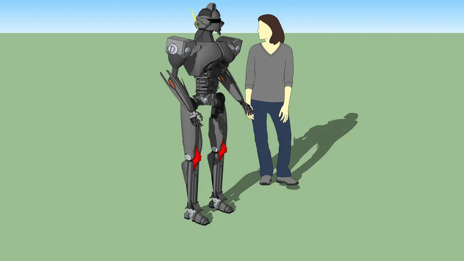 Robot Leader