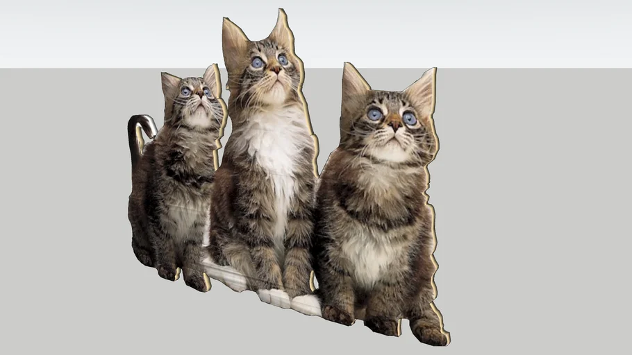 cat | 3D Warehouse