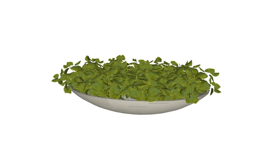 DECORACIÓN, CHAROLA METÁLICA CON PLANTAS