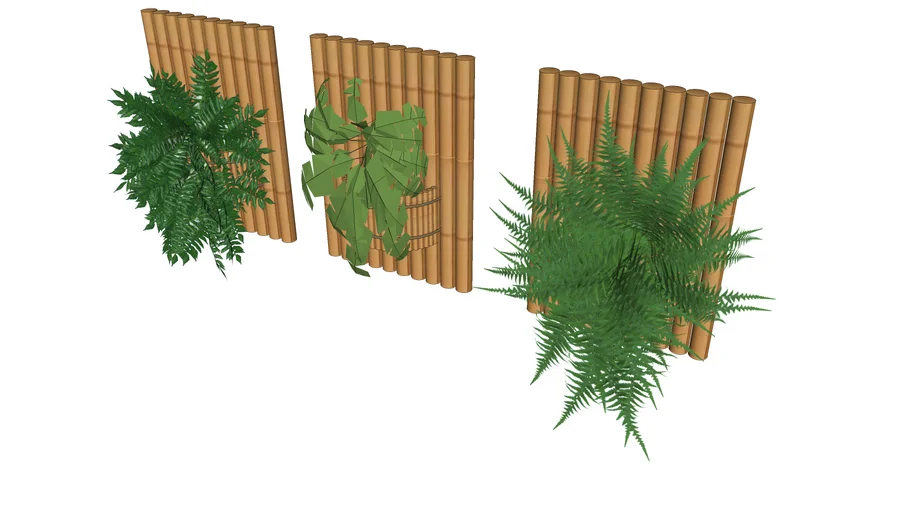 vegetacao-samambaia no bambu parede