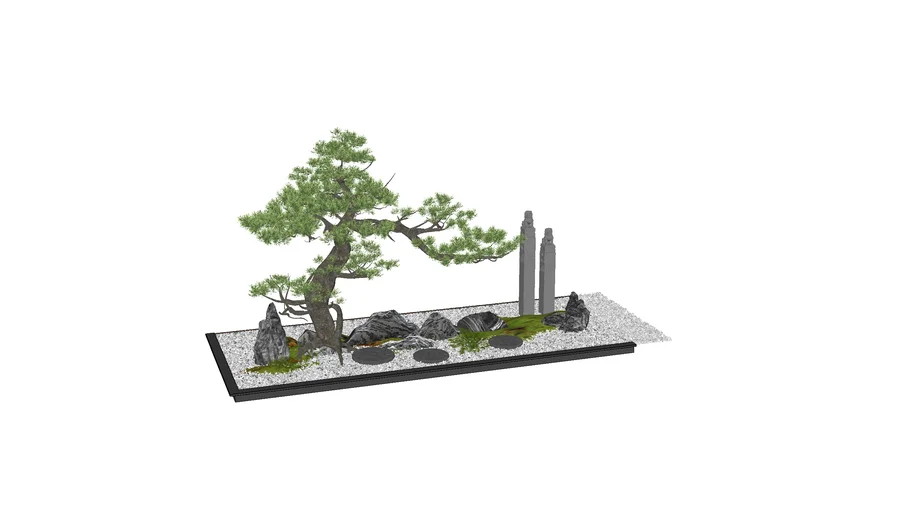 Plants