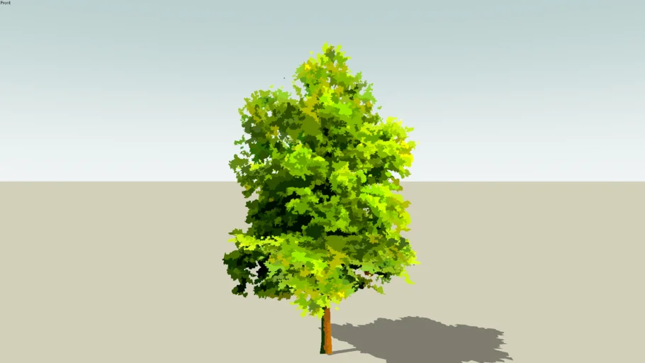 Conceptual Tree