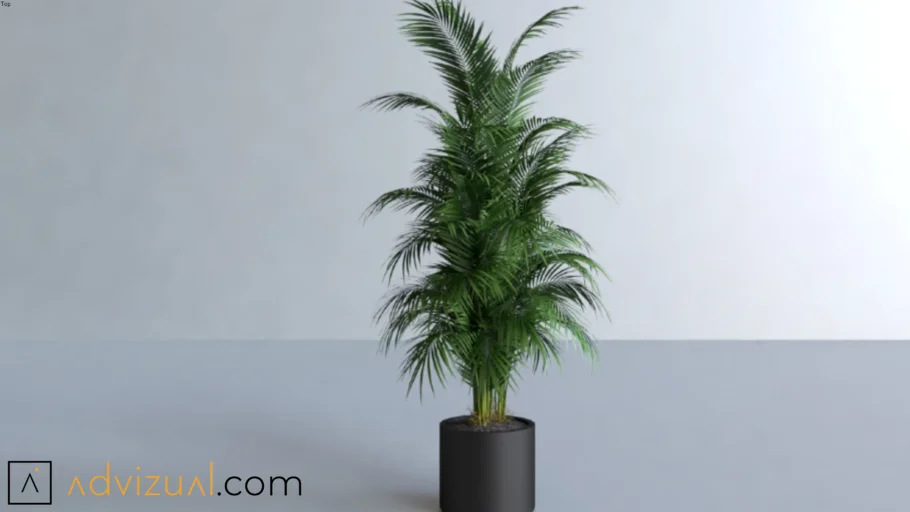 Plant (V-Ray Ready)