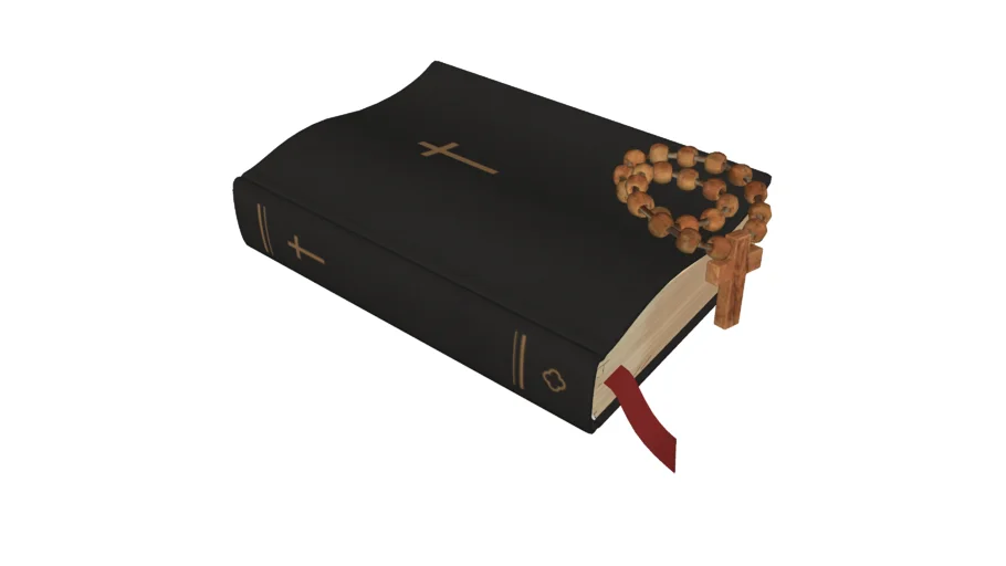 Holy Bible / Biblia Sagrada