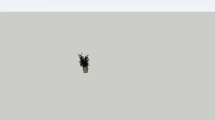 LARGE INDOOR PLANT