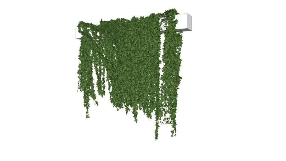 VINES (1).skp