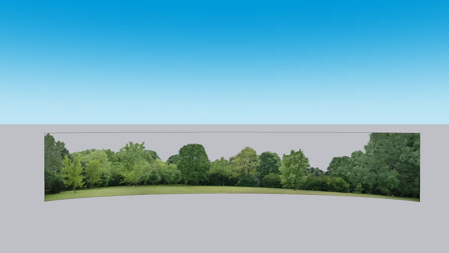 Tree background
