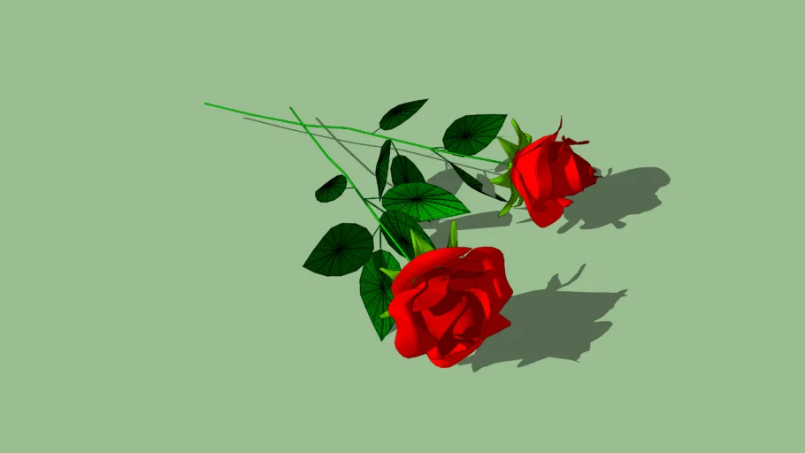 Rosas