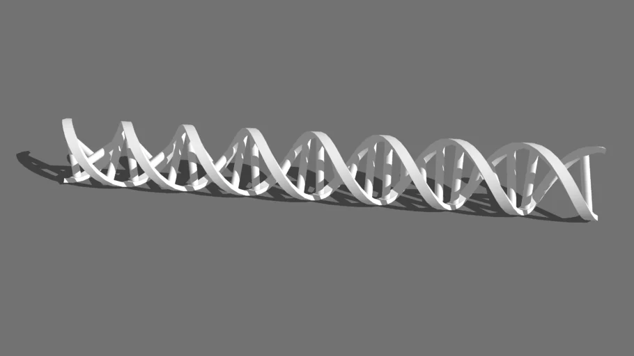 double helix