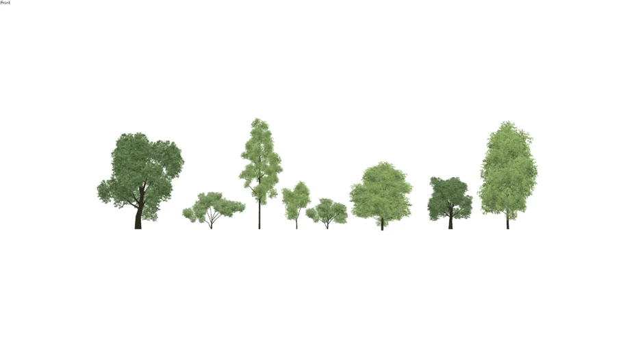 ARBOLES