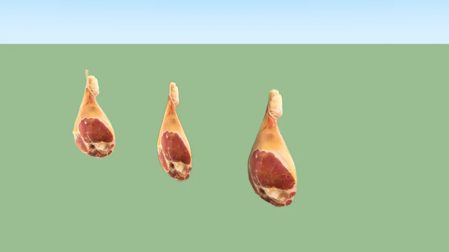 prosciutto leg 2d and 3d