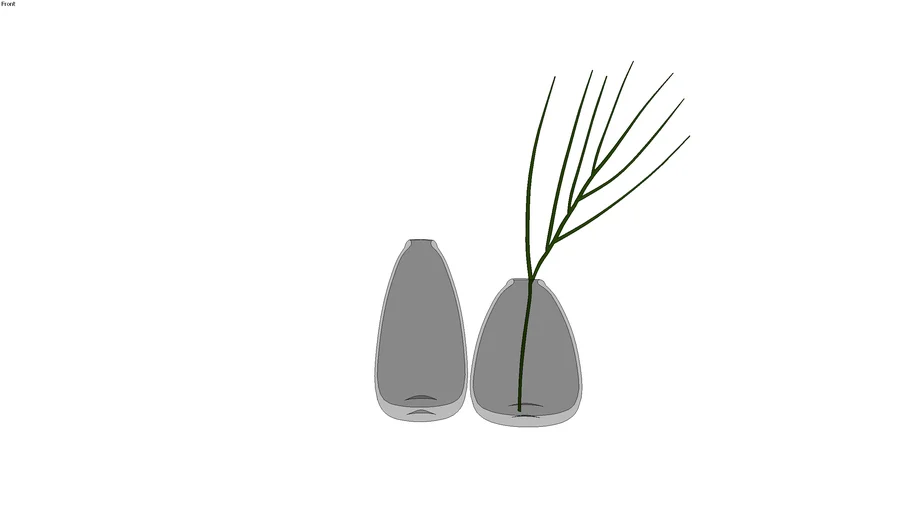 Vasos