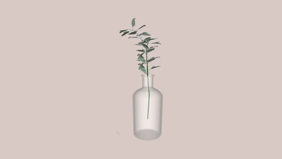 Vaso + ramo eucalipto