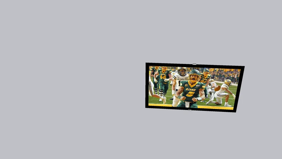 Outdoor TV
