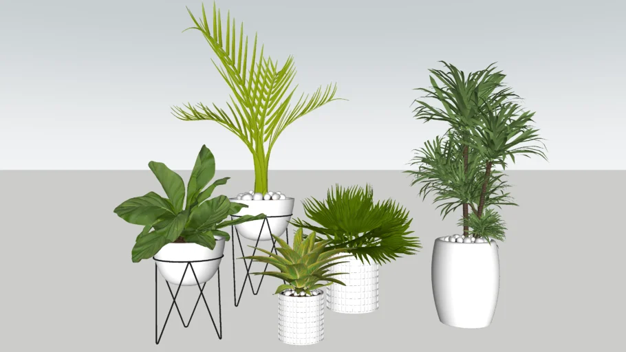 plantas