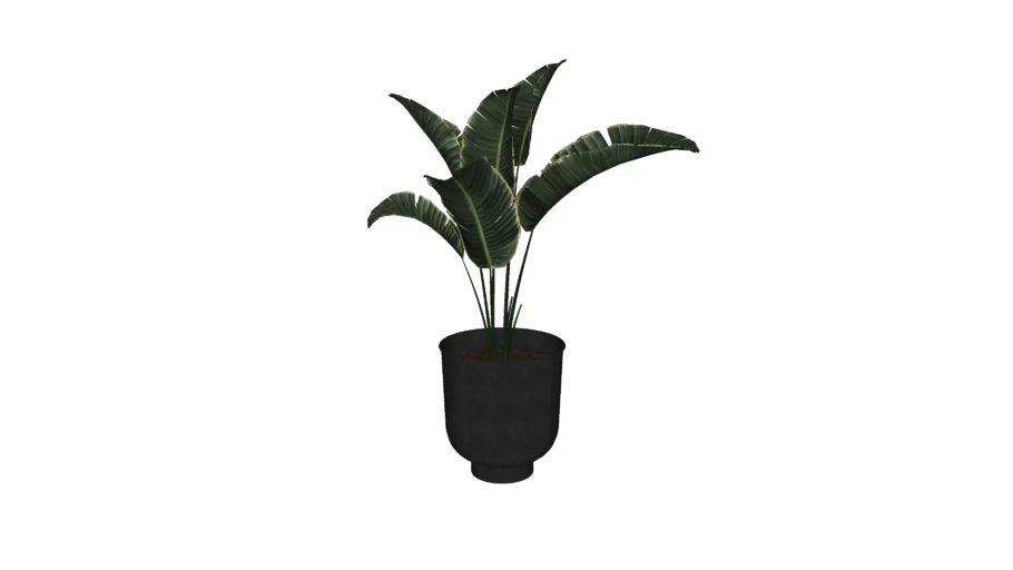 Flower pot