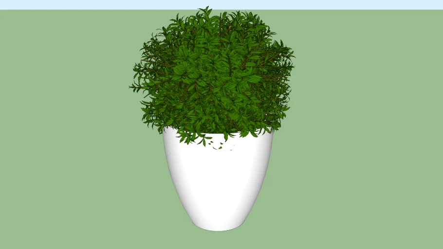 Vaso de planta