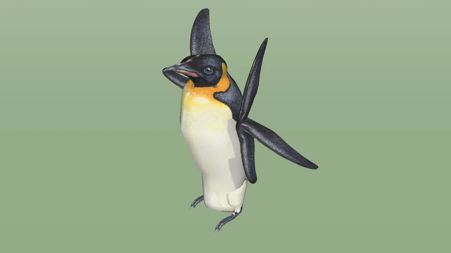 strange penguin——six fins penguin