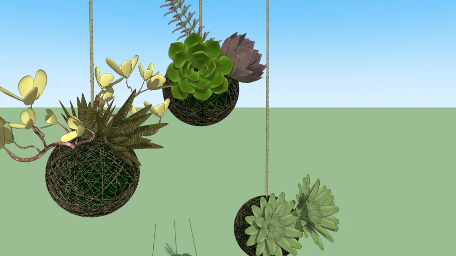 PLANTAS