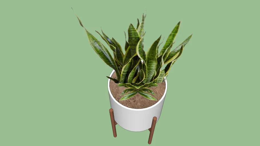 VASO PLANTA3