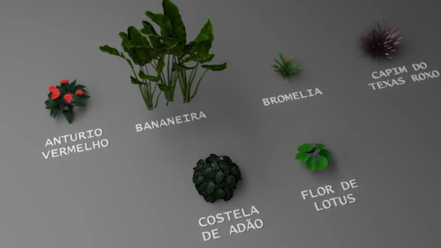 PAISAGISMO COM NOMES_PLANTAS PAISAGISMO NOMENCLATURA