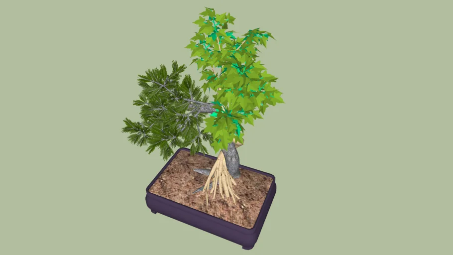 bonsai