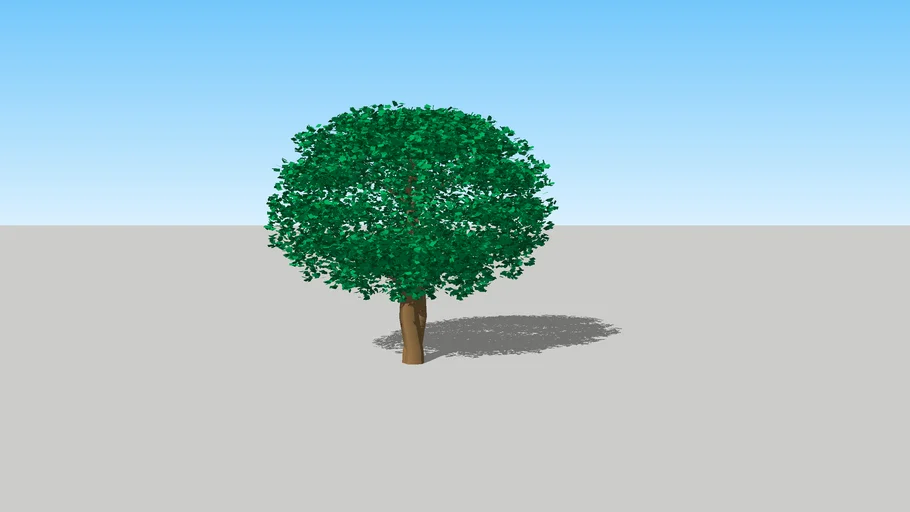 árvore tree leve