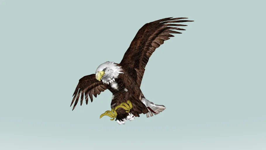 AMERICAN BALD EAGLE
