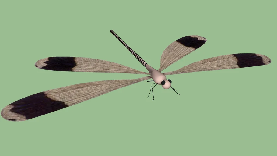 Dragon Fly