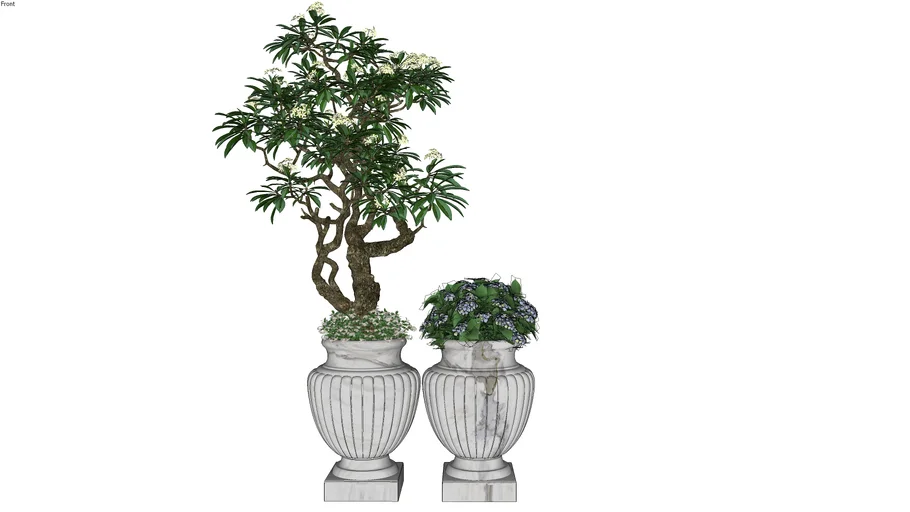 Vasos com Hortensia e Bonsai 1 - Model - 3D Warehouse