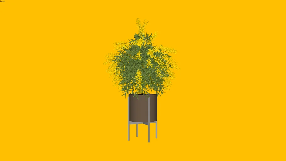 Kebun3D - Sapu Mekar