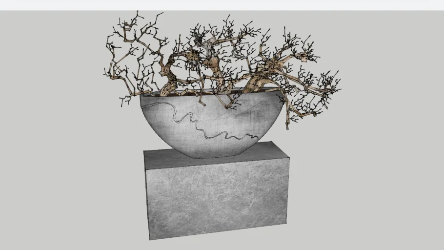 Decorative Plant