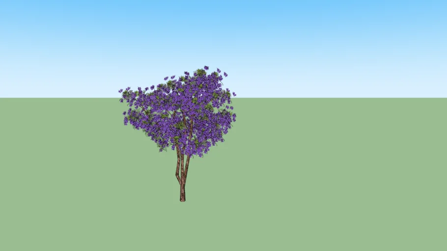 JACARANDA DE MINAS