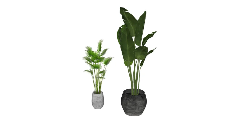 Vaso de Plantas