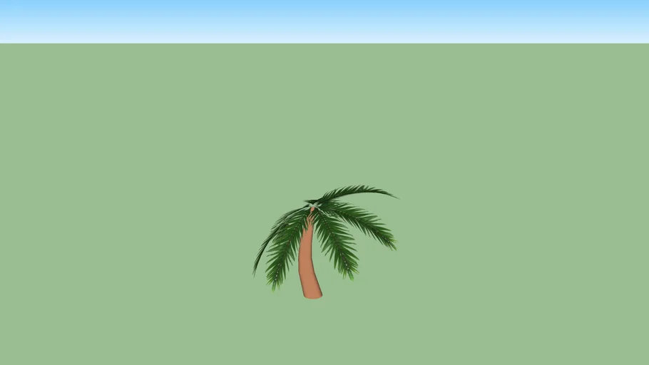 coconut tree