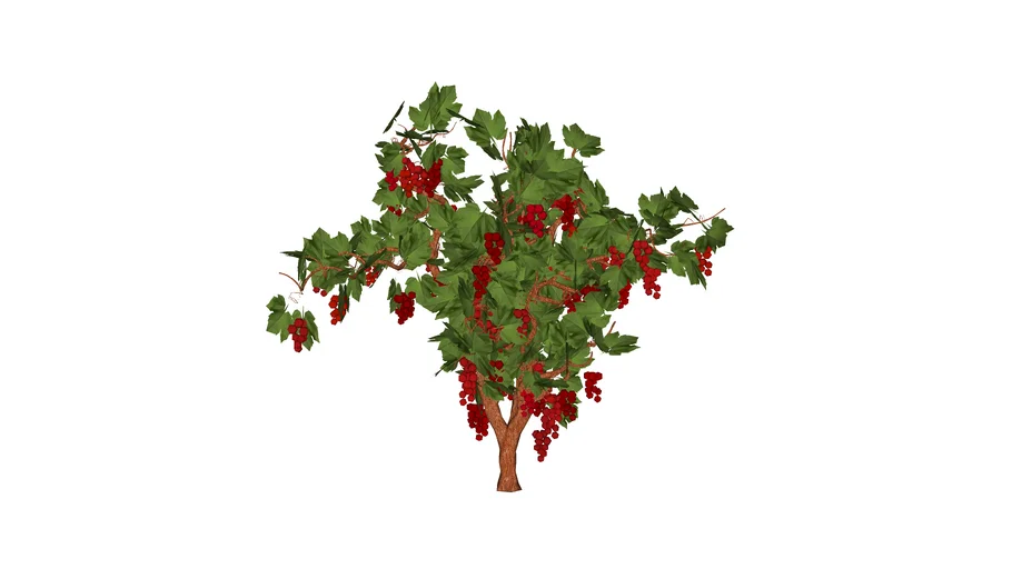 Grape Tree - 3D