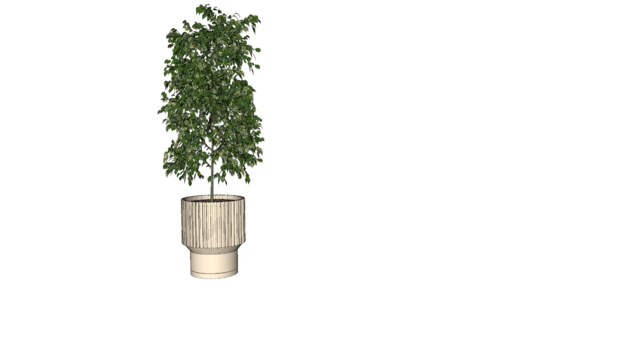 MACETA ROOTMATE  