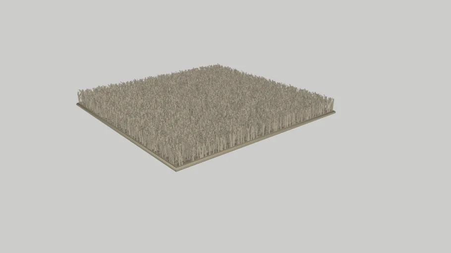 CARPET