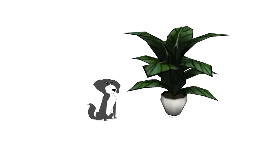 potted plant