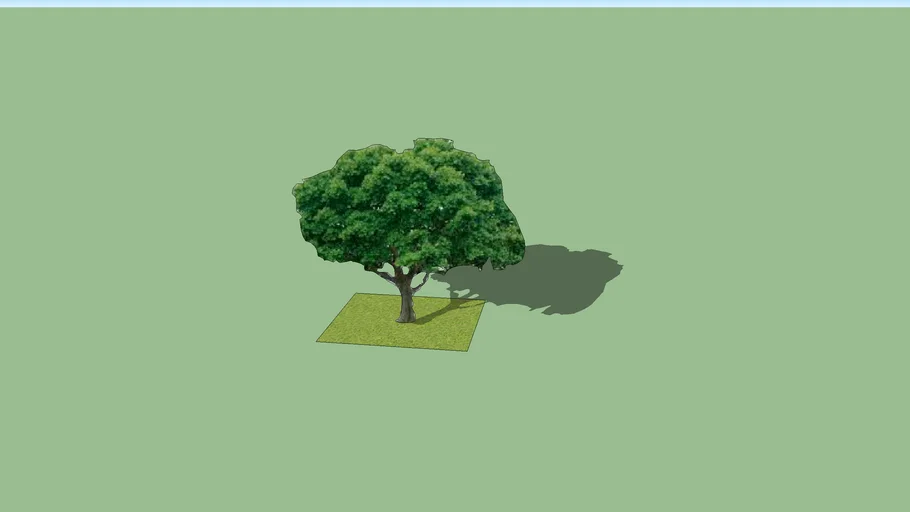 Faceme tree