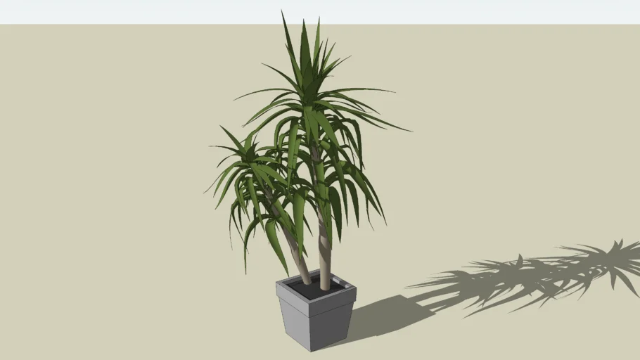 potted plant | 3D Warehouse