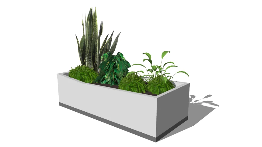 Modern Planter