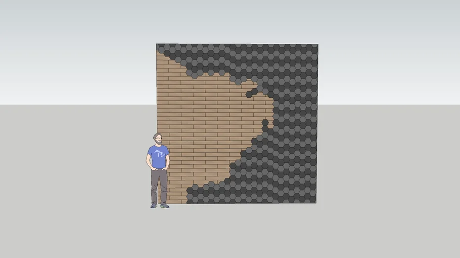 WALL DECORATION ( TIMBER + BLACK HEX )