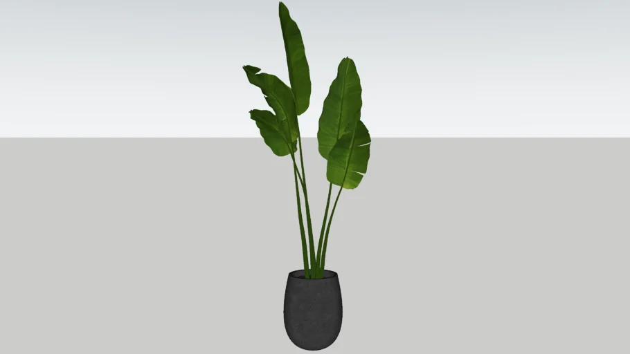 Indoor Plant 01