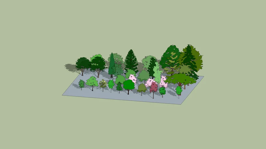 2D Trees & Shrubs