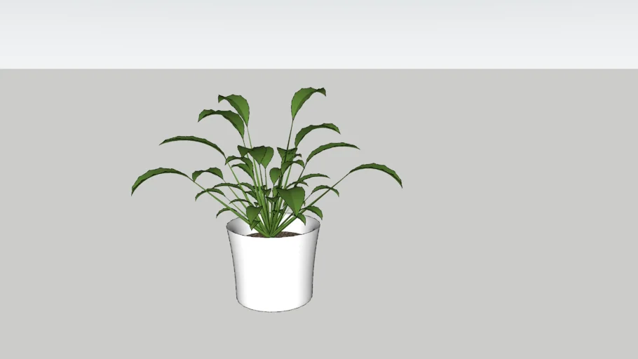 plant white pot