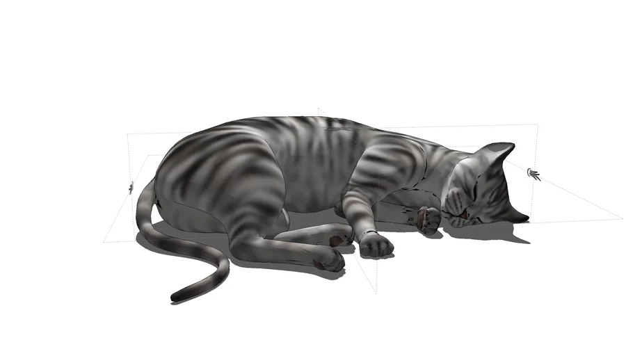 PET