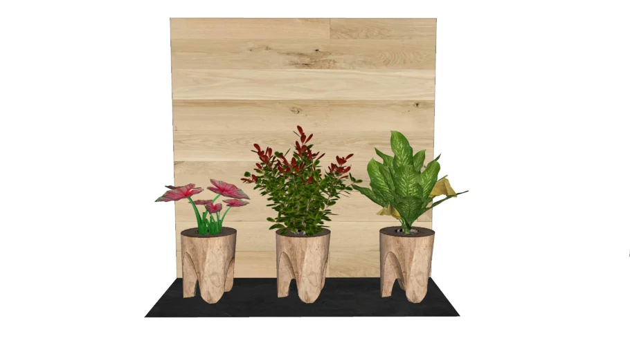 potted plants