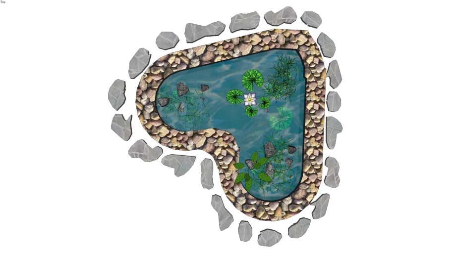 Pond
