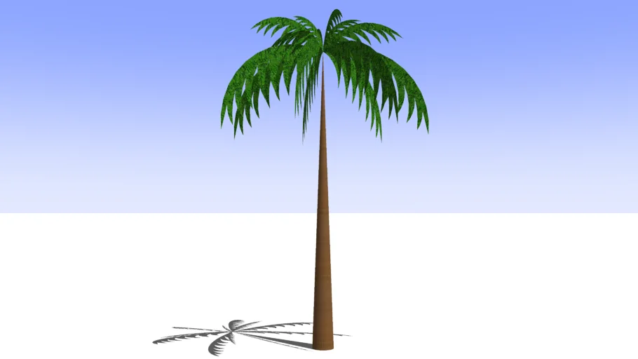 palmeira